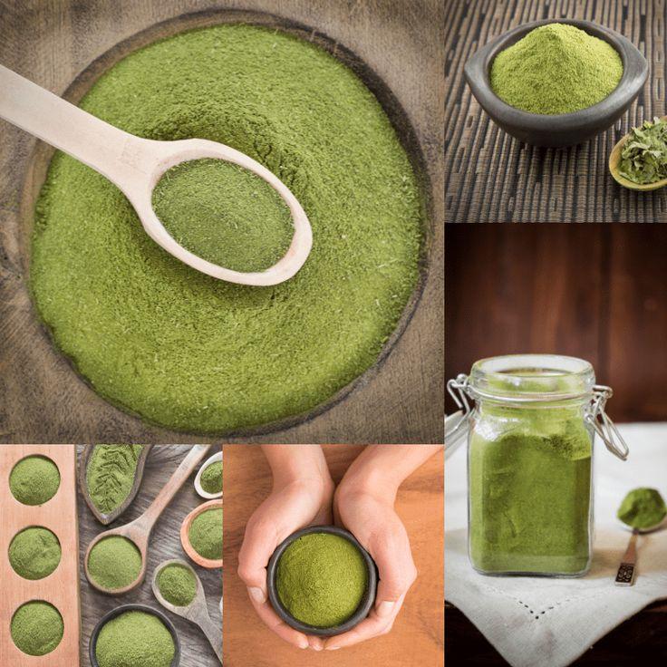 The Role of Moringa Products Suppliers in Global Wellness and Sustainable Trade