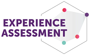 When Users Rebel: Lessons from a Failed UX Assessment