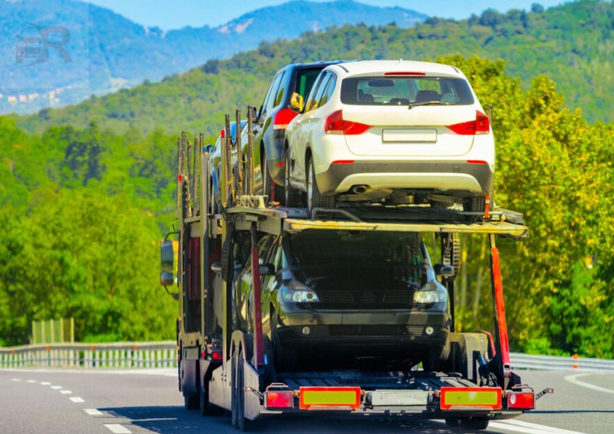 Everything You Need to Know About Car Shipping Services