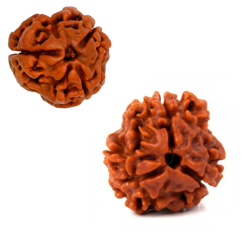 How 3 Mukhi Rudraksha Can Enhance Your Meditation Practice