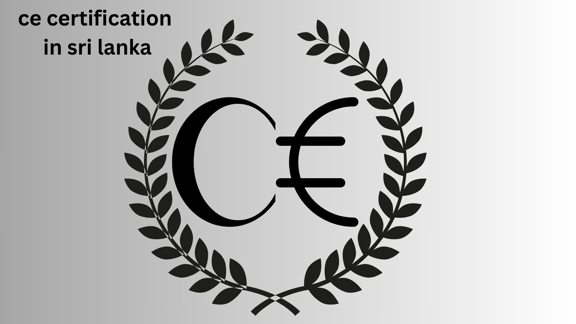 Understanding CE Certification: A Gateway to the European Market